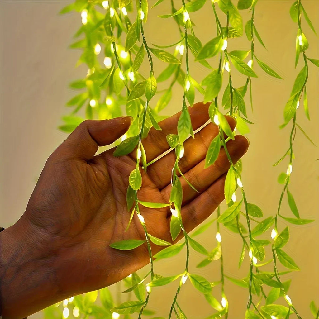 Nature Meets Light 🌿by Sarena Store